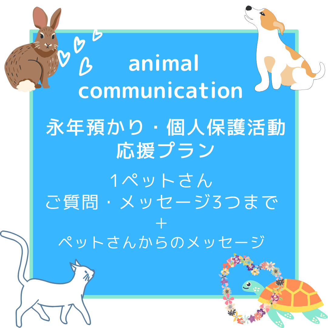 アニマルコミュニケーション基本料金 2ペットさんご質問・メッセージ5つまで