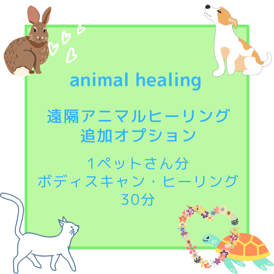 アニマルコミュニケーション基本料金 3ペットさんご質問・メッセージ3つまで
