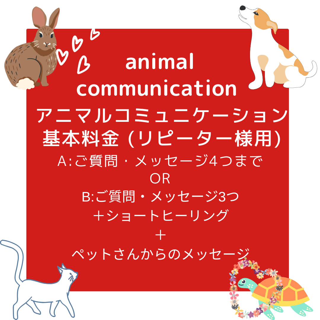 animal communication アニマルコミュニケーションコミュニケーション基本料金 1ペットさんご質問・メッセージ1つまで