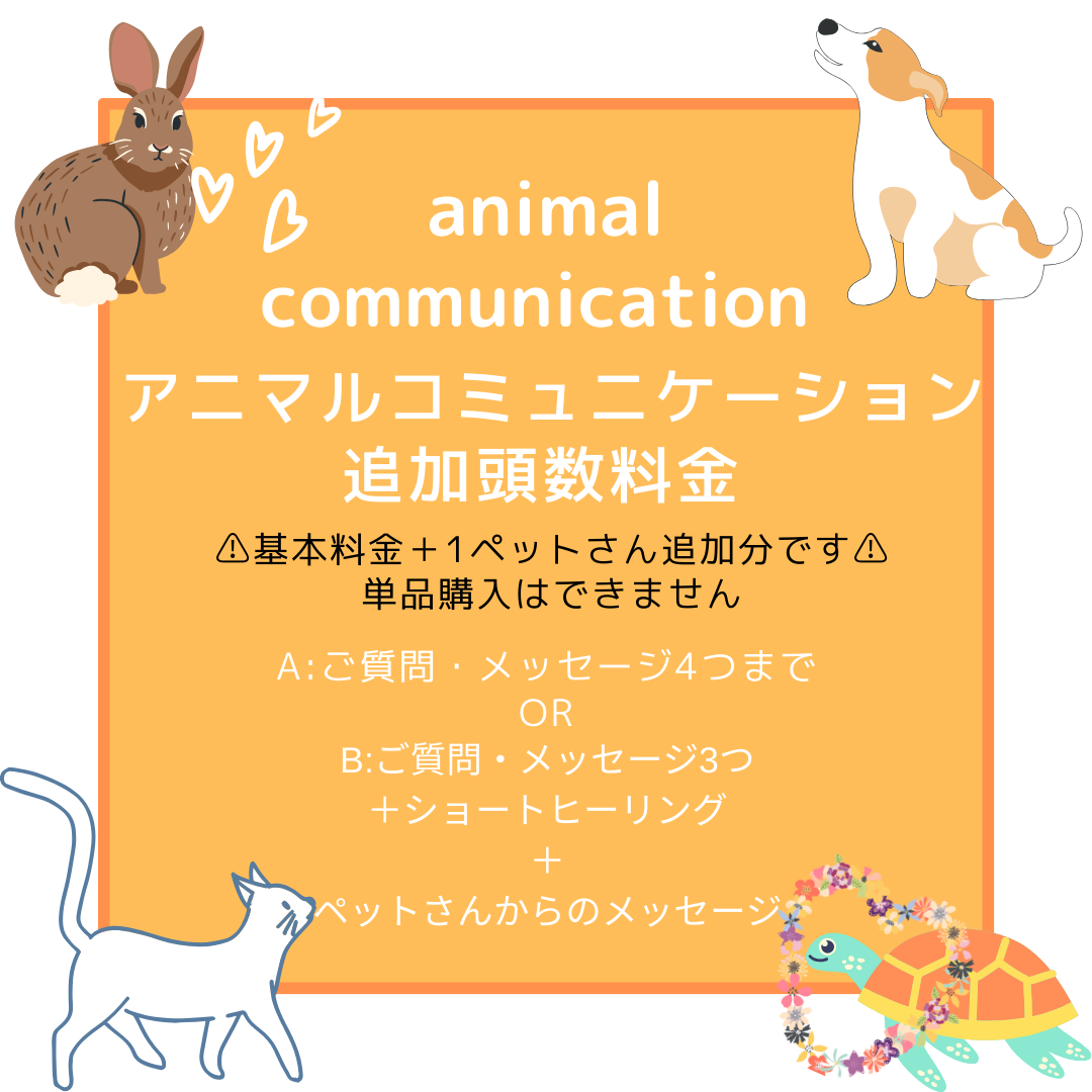 アニマルコミュニケーション基本料金 3ペットさんご質問・メッセージ5つまで