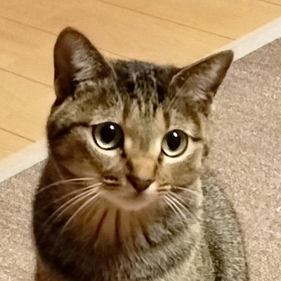 リエコさんのペットさん